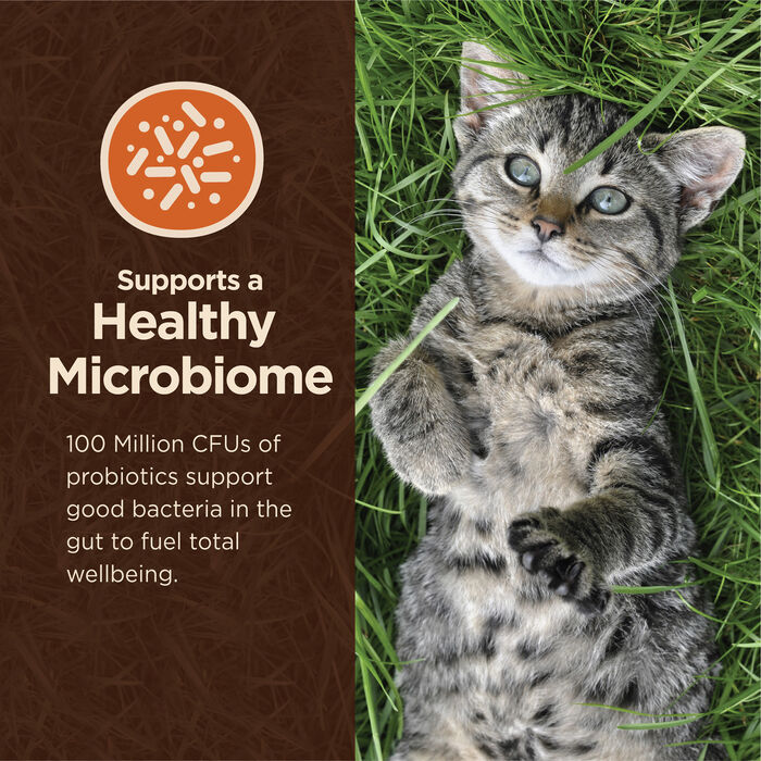 63623 product detail number 1.0