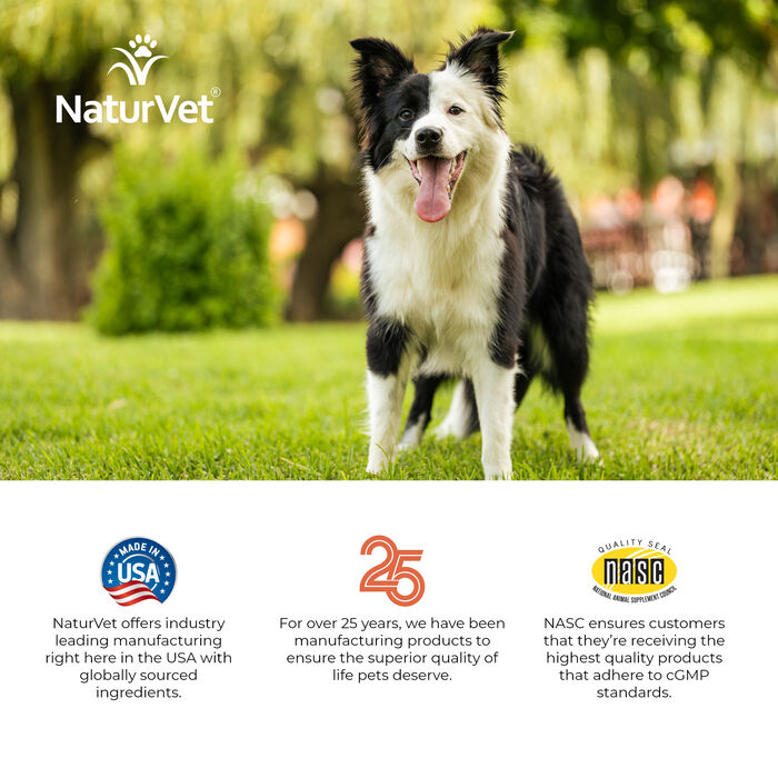 64196 product detail number 1.0