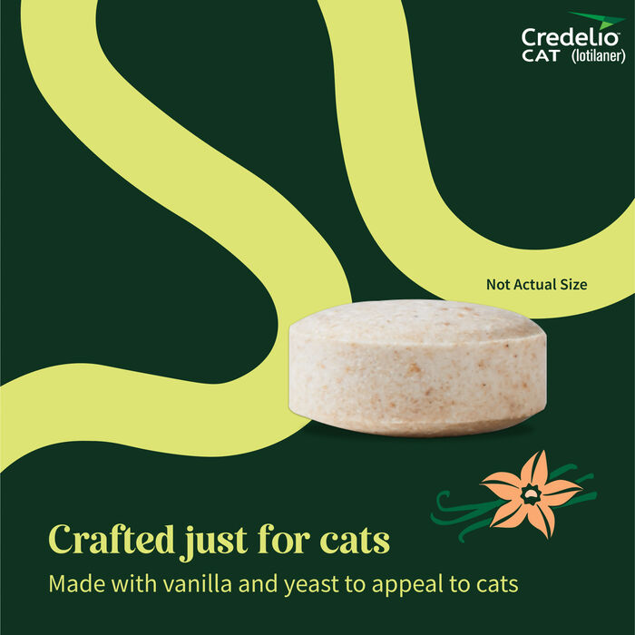 12830 product detail number 1.0