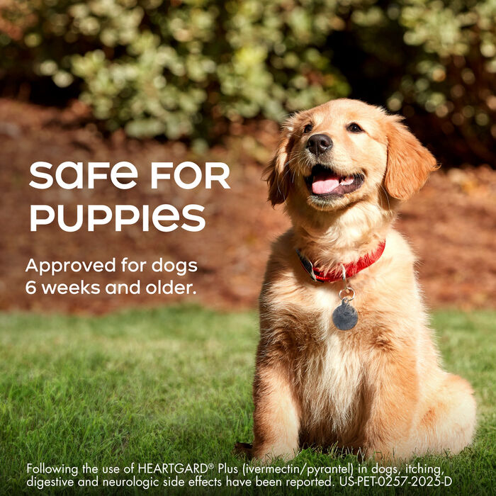 10002 10002 product detail number 1.0