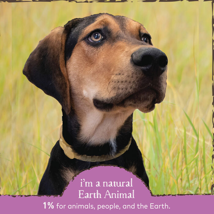 61606 product detail number 1.0