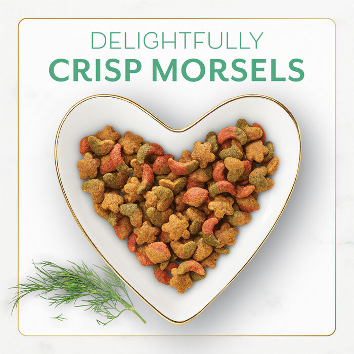 66464 product detail number 1.0