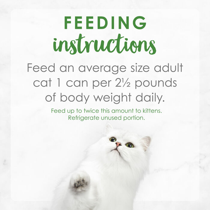 63242 product detail number 1.0