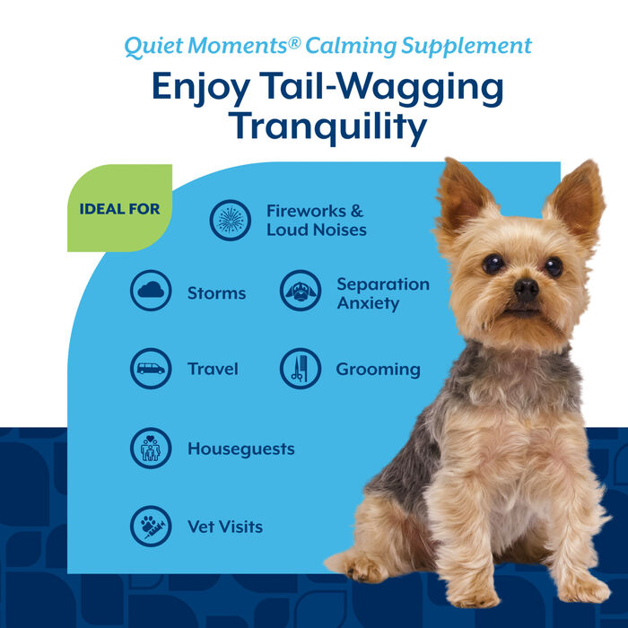 13791 product detail number 1.0