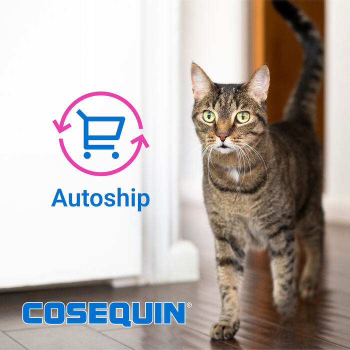 10330 product detail number 1.0