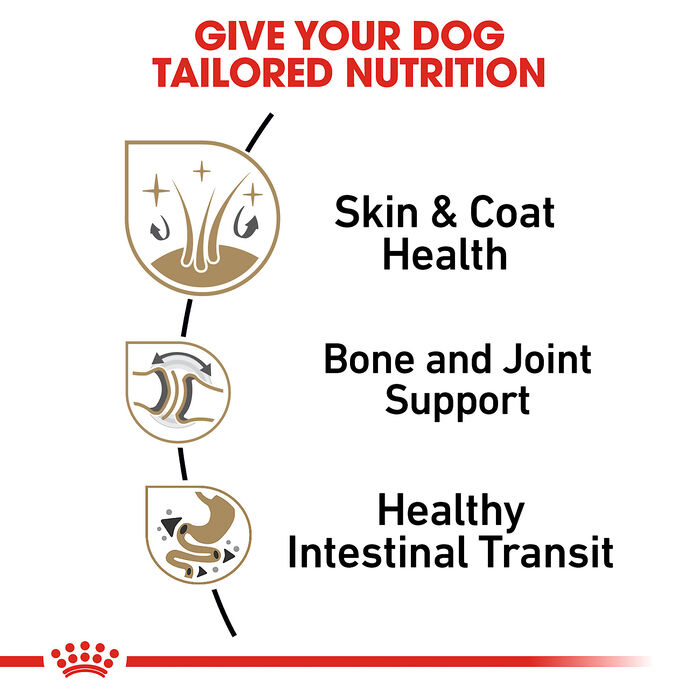 66700 product detail number 1.0