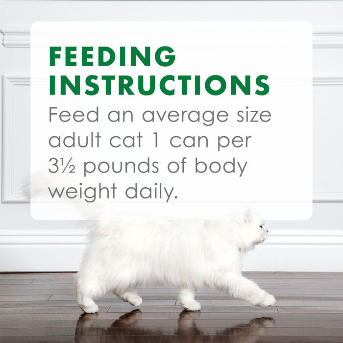 63204 product detail number 1.0