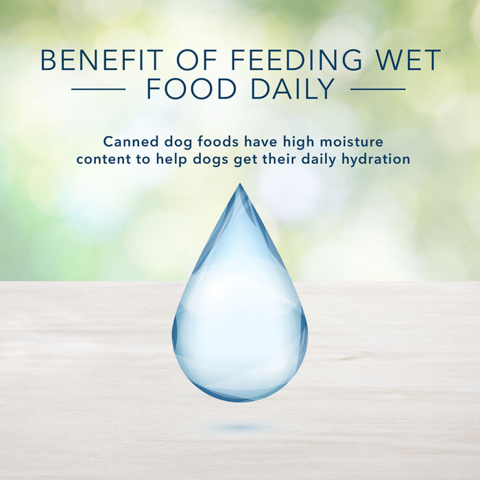 64161 product detail number 1.0