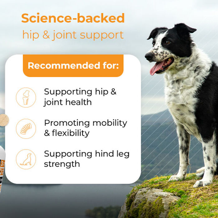 10654 product detail number 1.0