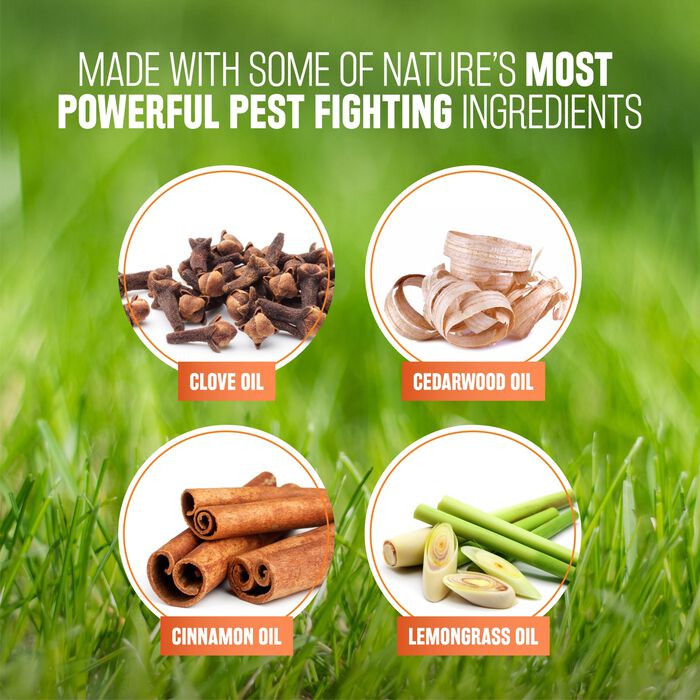 62677 product detail number 1.0