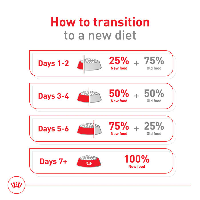 61162 product detail number 1.0