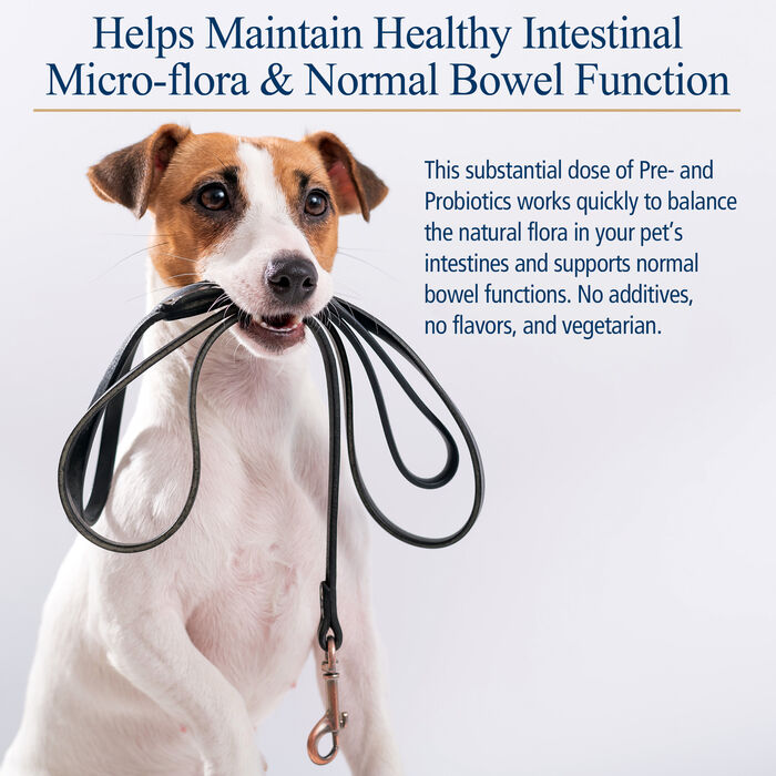 12924 product detail number 1.0