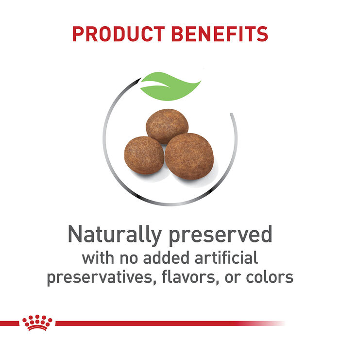 66767 product detail number 1.0