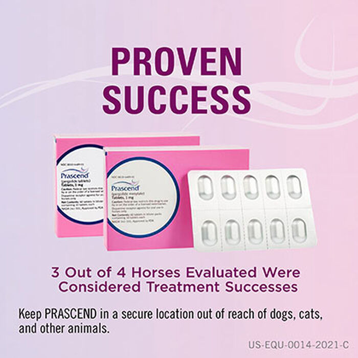 12147 product detail number 1.0