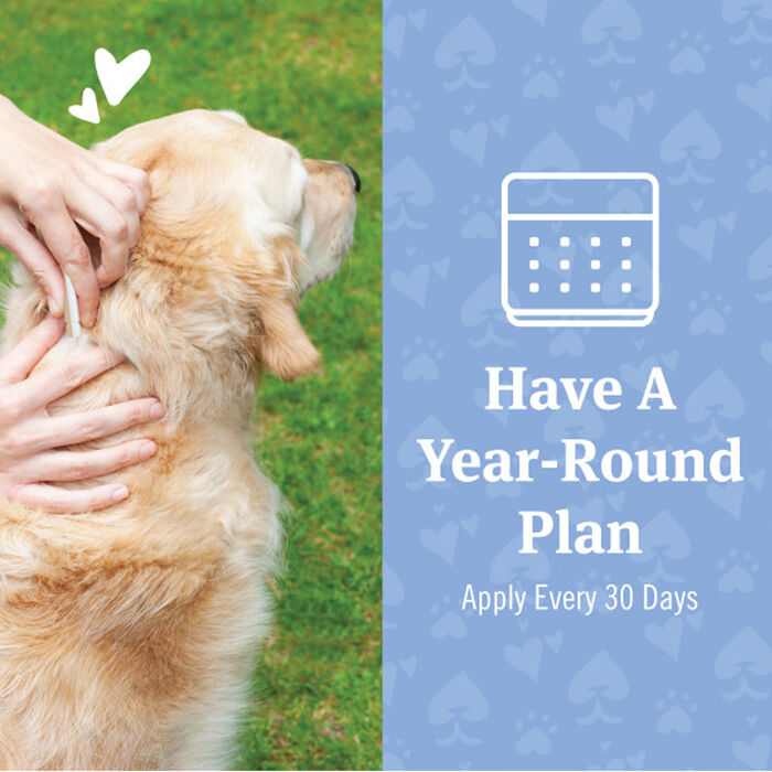 12895 product detail number 1.0