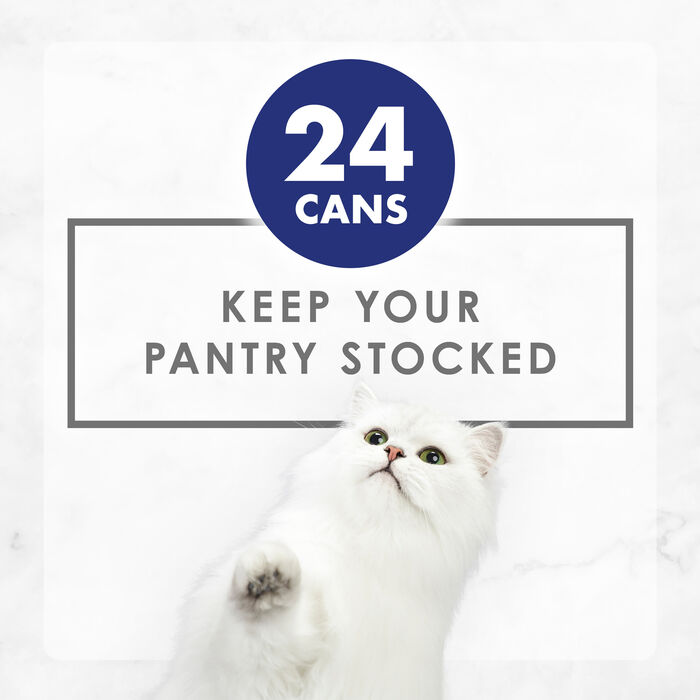 63222 product detail number 1.0