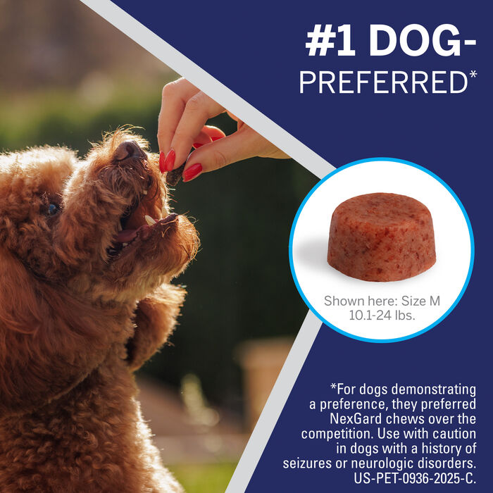 Bundle: Nexgard + Heartgard Plus - Flea, Tick, & Heartworm Prevention Bundle for Dogs product detail number 1.0