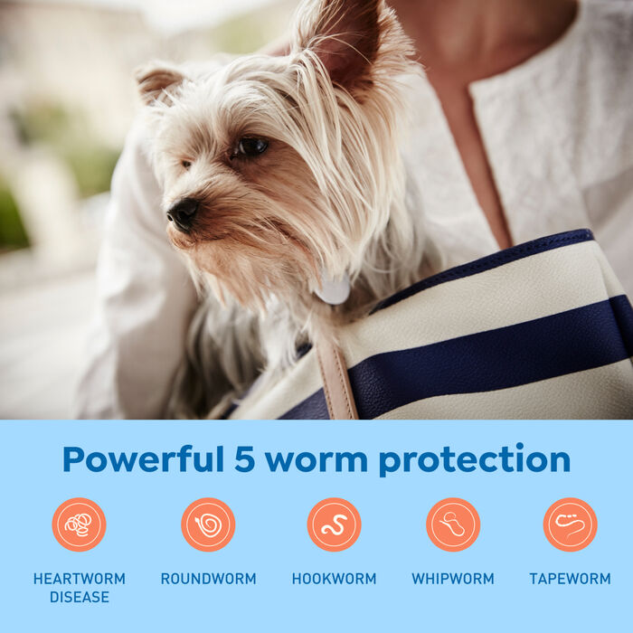 11710 product detail number 1.0