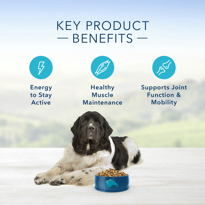 66796 product detail number 1.0