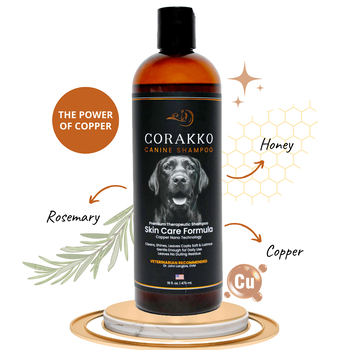 Curry on a Stik Corakko Canine Shampoo - 16 oz Bottle-product-tile