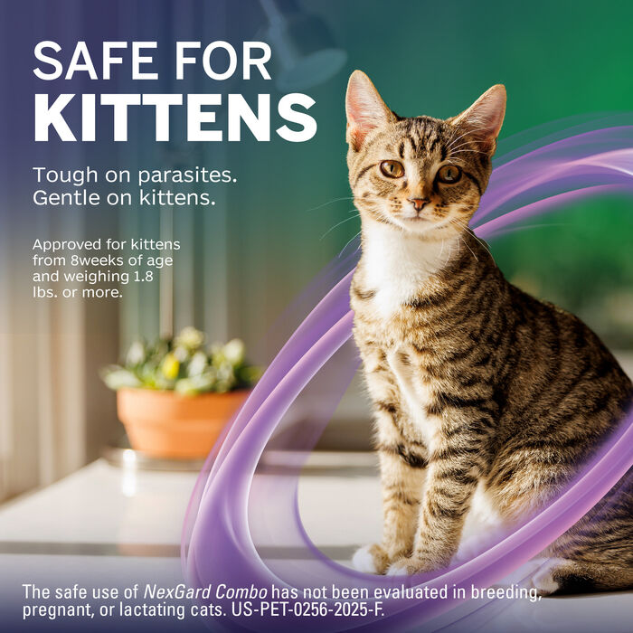 13302 product detail number 1.0