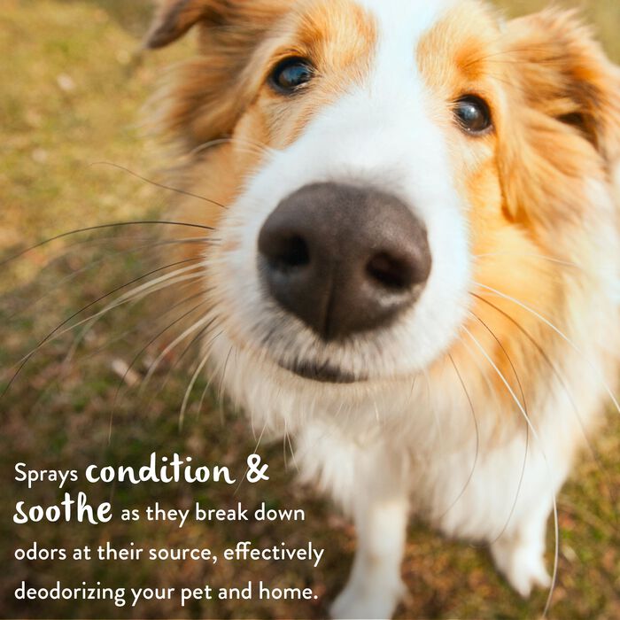 62701 product detail number 1.0