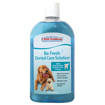 Be Fresh Dental Care Solution 16 oz Be Fresh Dental Care Solution 16 oz-product-tile
