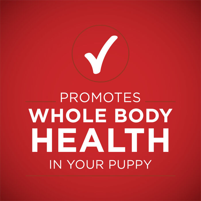 63734 product detail number 1.0