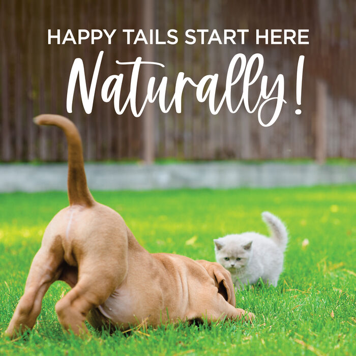 14443 product detail number 1.0