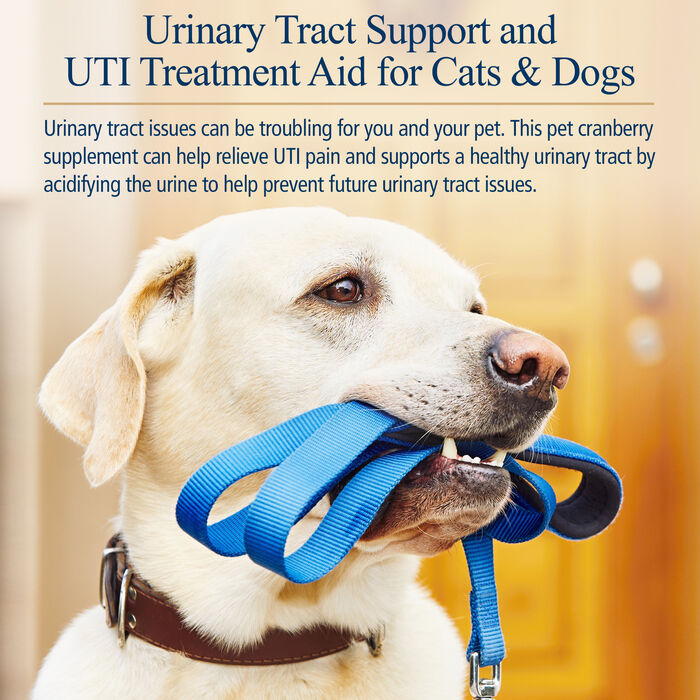 12921 product detail number 1.0