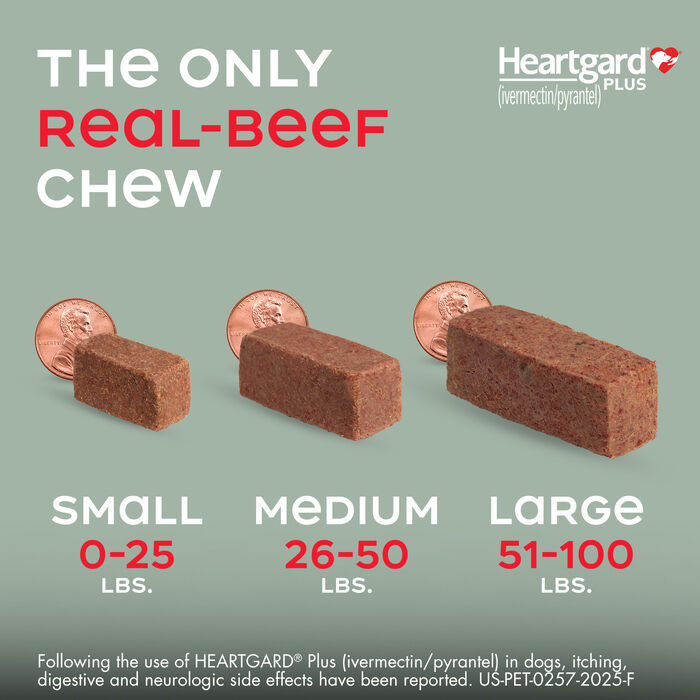 10002 10002 product detail number 1.0