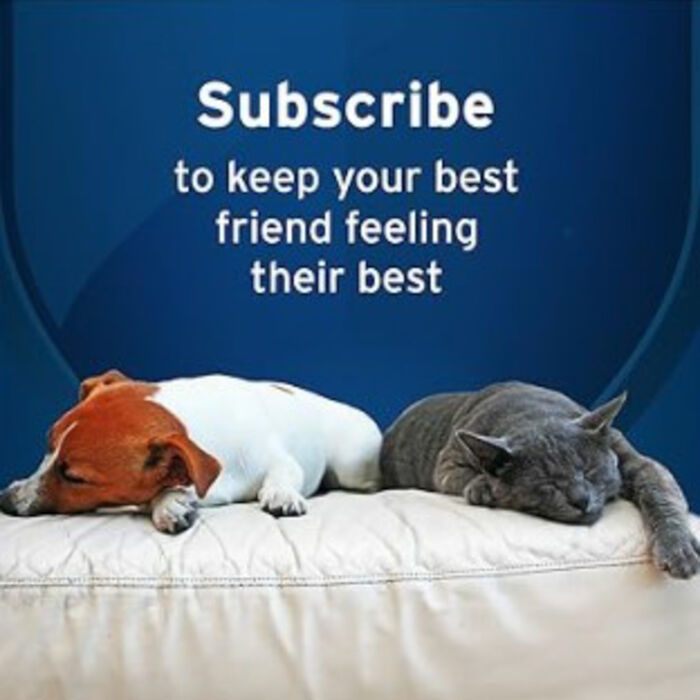 11181 product detail number 1.0