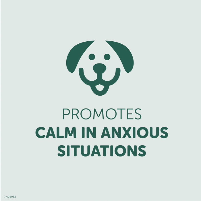 13959 product detail number 1.0