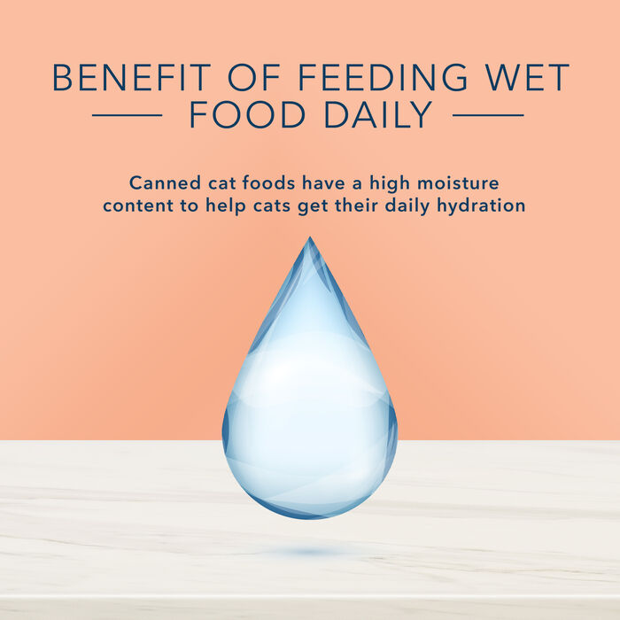 66833 product detail number 1.0