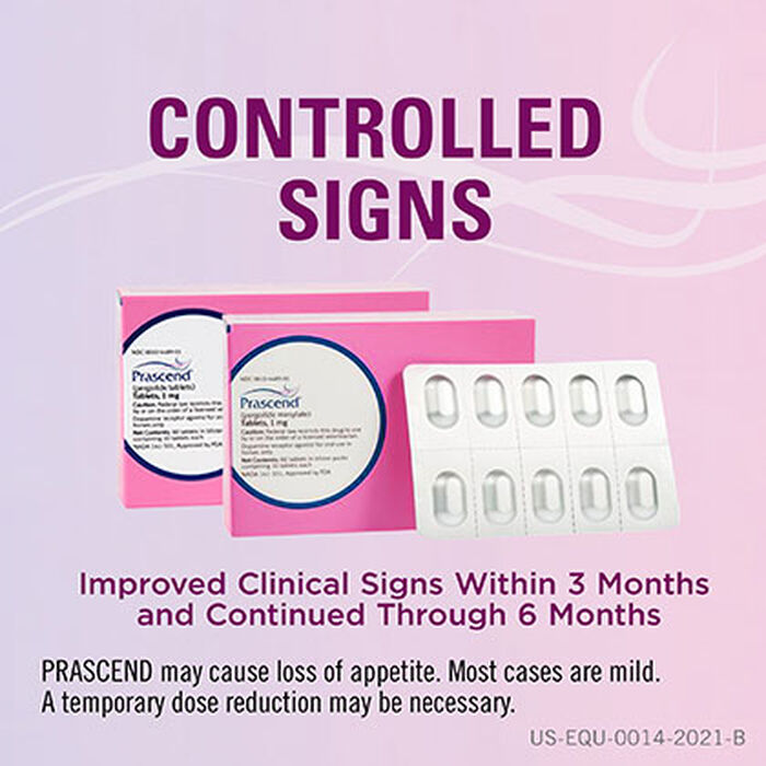 12147 product detail number 1.0