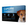 Bundle: Capstar + Flea5X Plus - Flea Treatment Bundle for Dogs