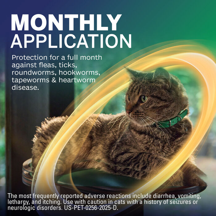 13302 product detail number 1.0