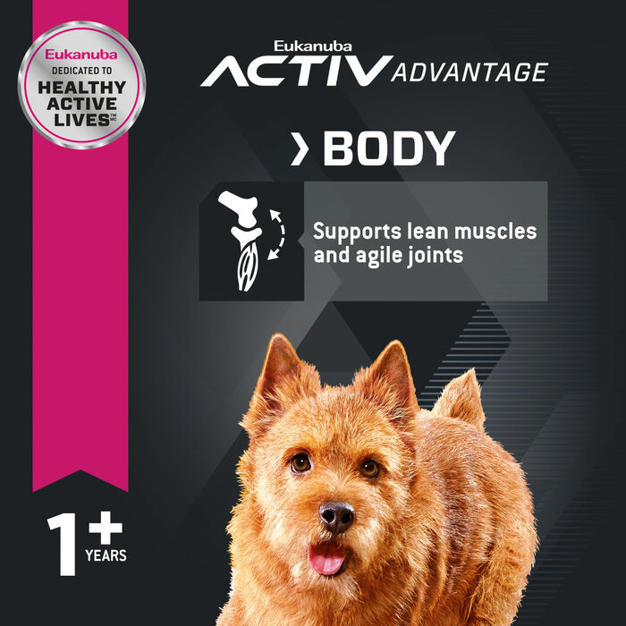 61844 product detail number 1.0