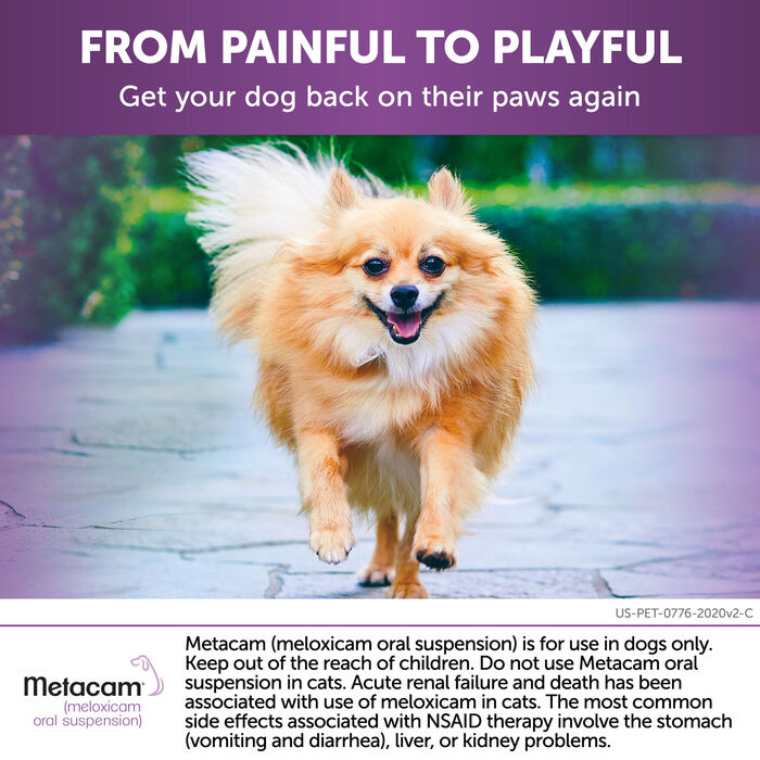 10588 product detail number 1.0