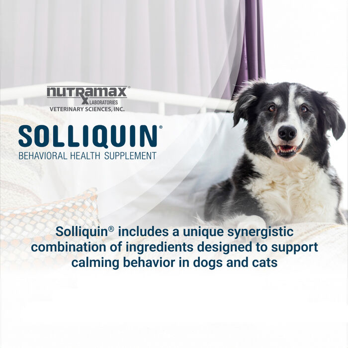 12094 product detail number 1.0