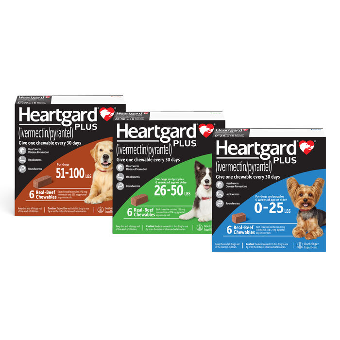 Bundle: Nexgard + Heartgard Plus - Flea, Tick, & Heartworm Prevention Bundle for Dogs product detail number 1.0