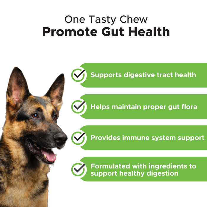 13007 product detail number 1.0