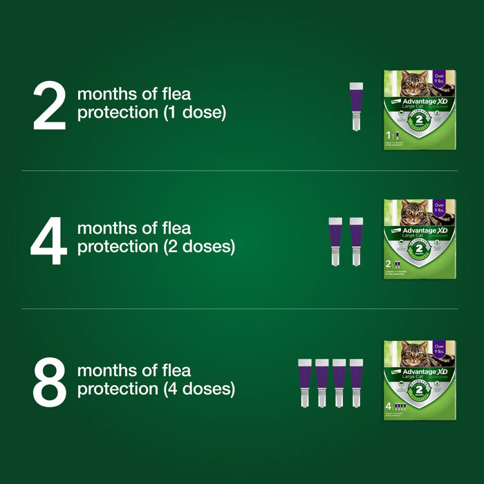 13030 product detail number 1.0