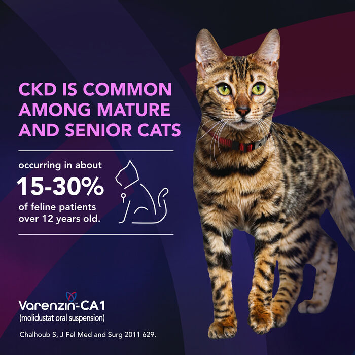 14464 product detail number 1.0