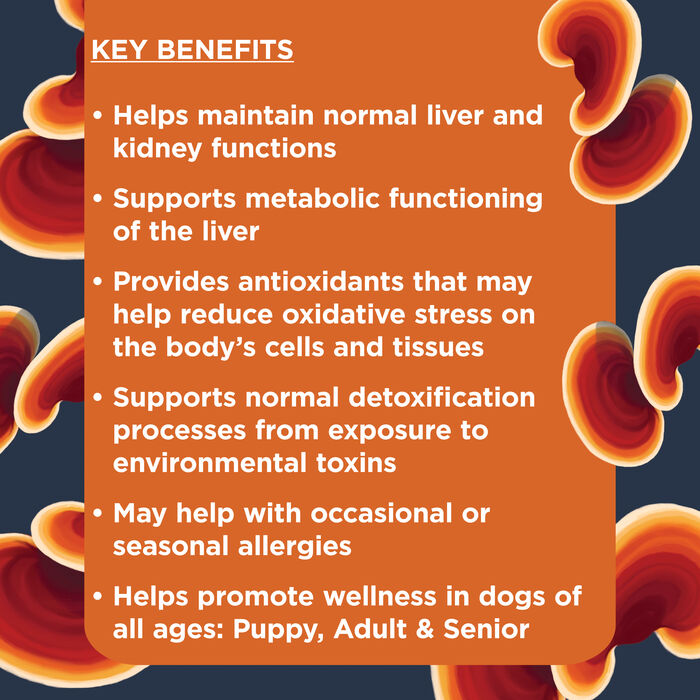 67455 product detail number 1.0