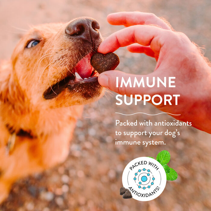 14243 product detail number 1.0