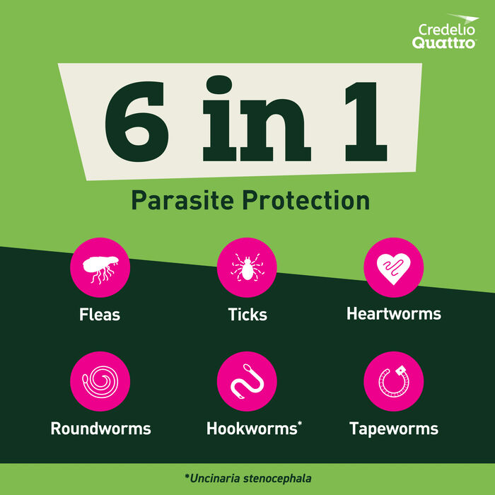 14189 product detail number 1.0