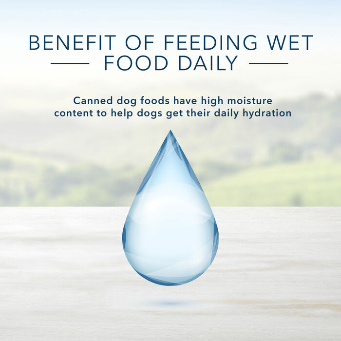 66795 product detail number 1.0