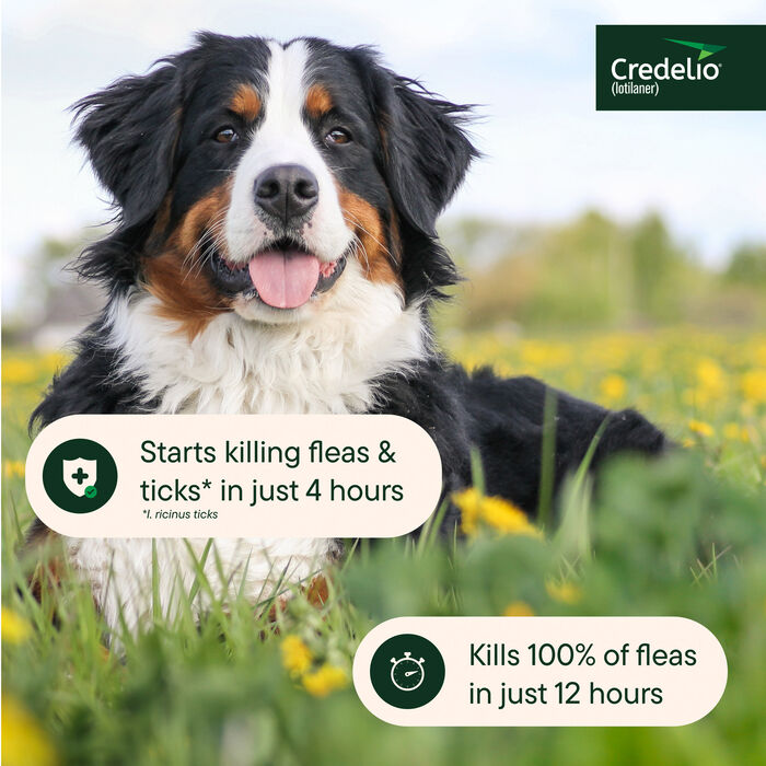 11936 product detail number 1.0