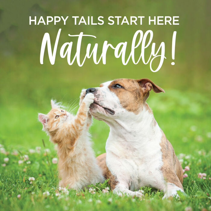 14440 product detail number 1.0